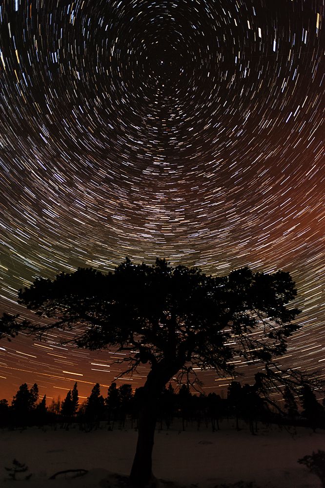 Sweden-Norrbotten-Abisko. Winter night with star circles and a hint of Northern Light.